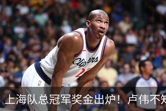 上海队总冠军奖金出炉！卢伟不知道怎么分，张镇麟和王哲林谁多